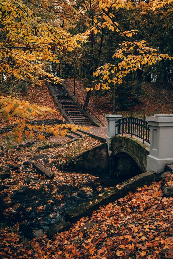 Picturesque autumn landscape featuring a bridge surrounded by vibrant fall foliage.